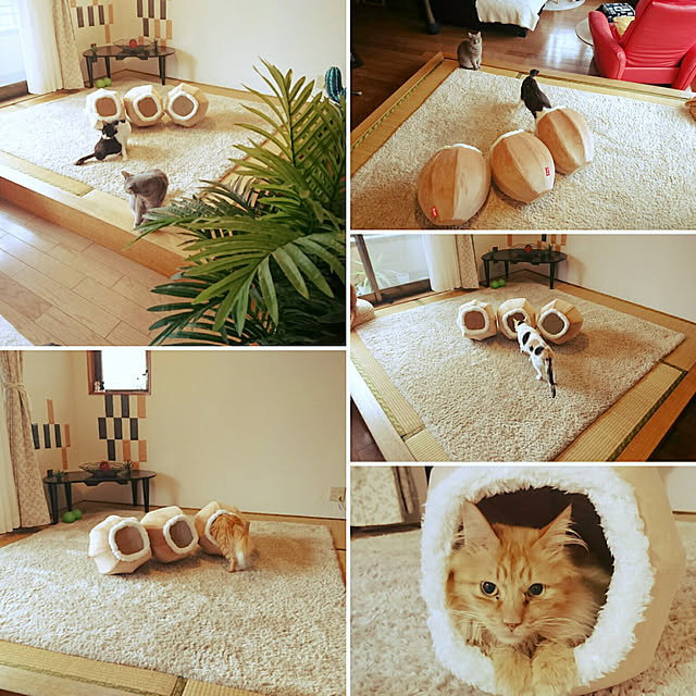 uchizukonyanさんの実例写真