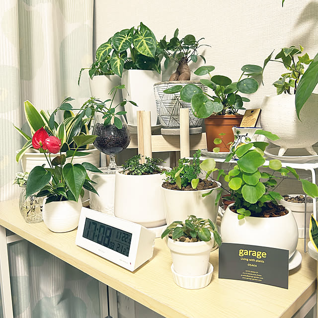 yoyoyoさんの部屋