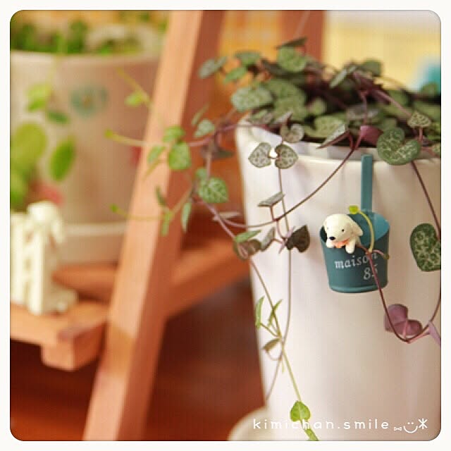 kimichan.smileさんの実例写真