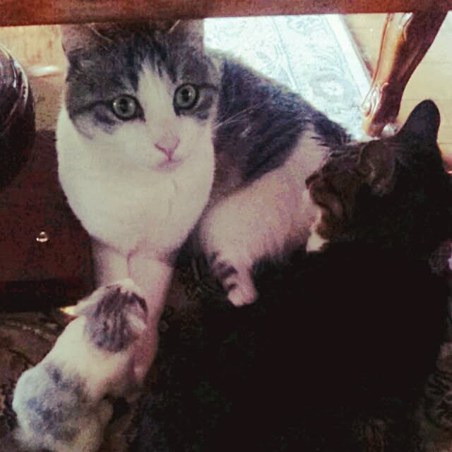 emmyyさんの実例写真