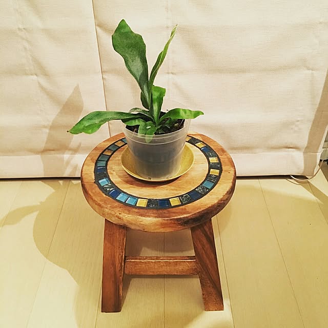 cafe-plageさんの実例写真
