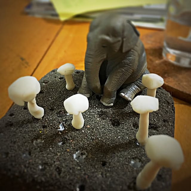ramuchop3000さんの実例写真