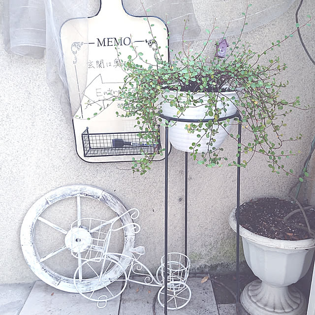 miho.okuさんの実例写真