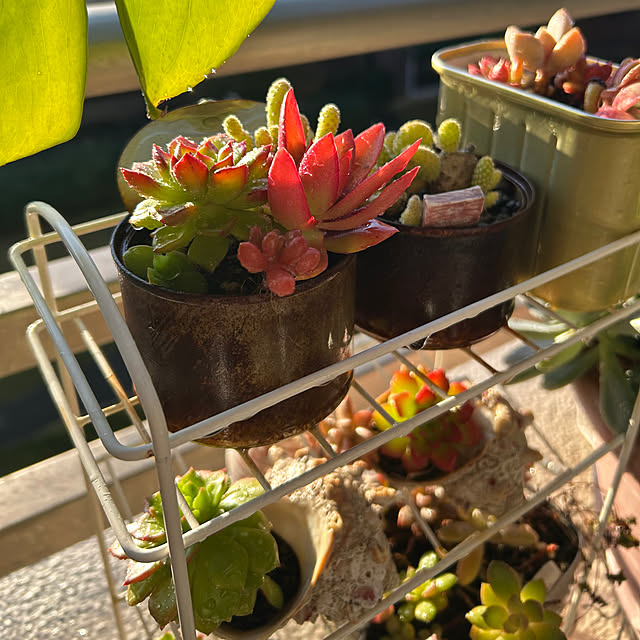 suemonta14さんの部屋