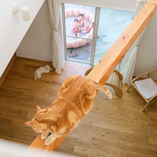 shiiiさんの部屋