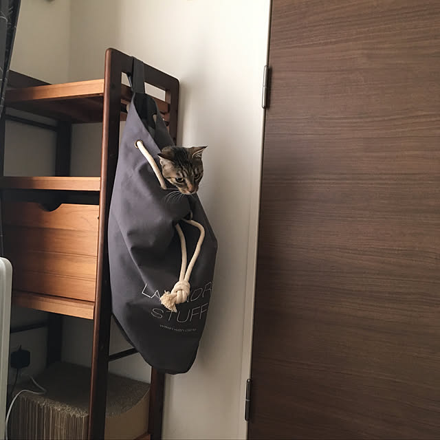 mikomaruさんの実例写真
