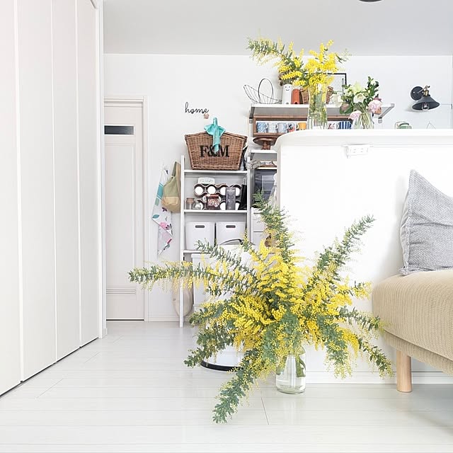 fumitanさんの実例写真