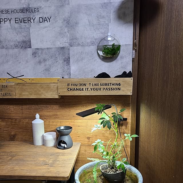 opiopiopiさんの実例写真