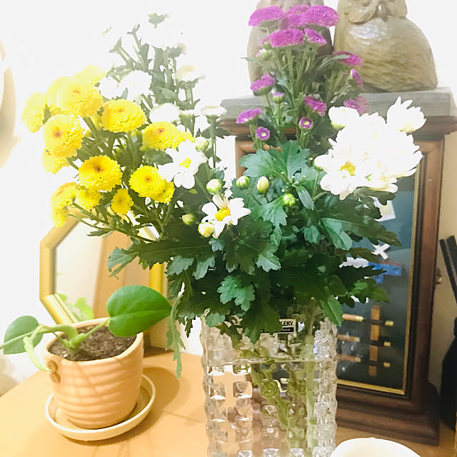 atanasiaさんの実例写真