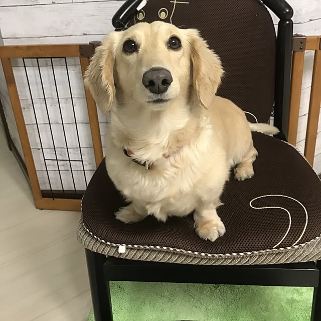 hechanさんの実例写真