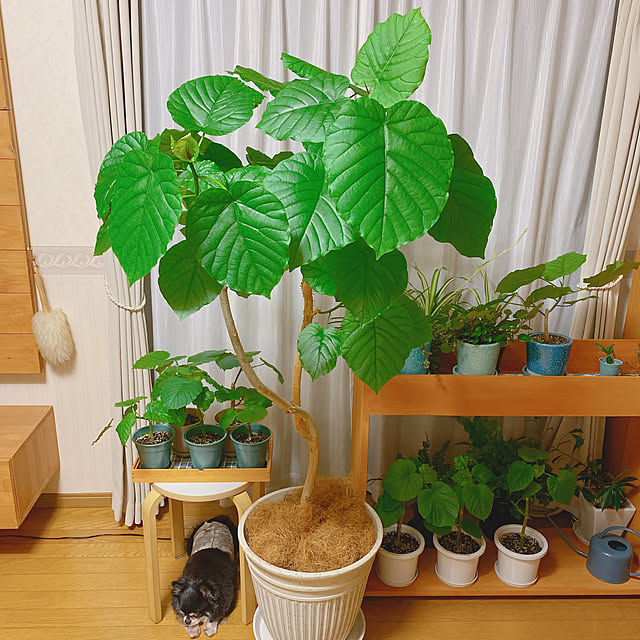 yukaさんの実例写真