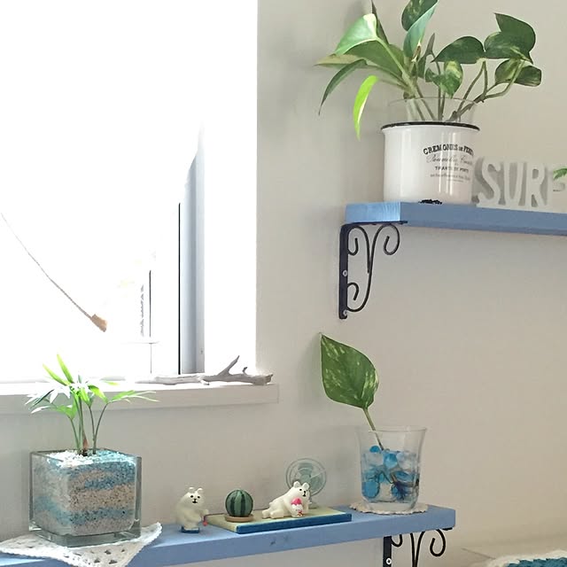 nonp08さんの実例写真