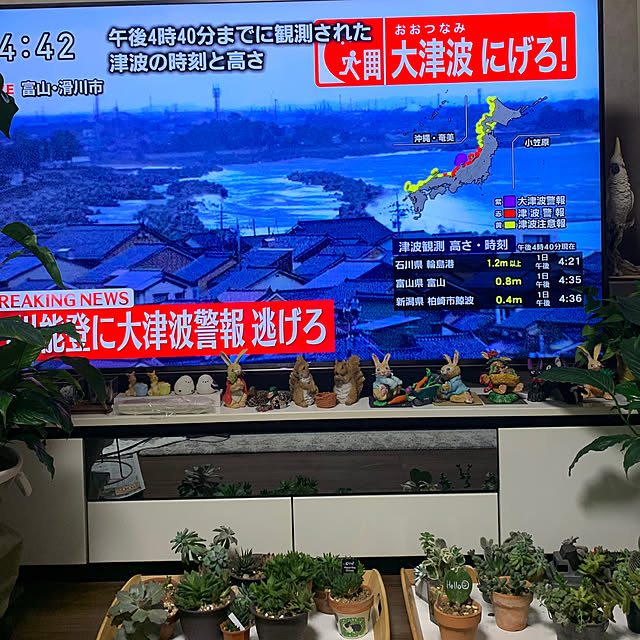 Aqettyさんの部屋