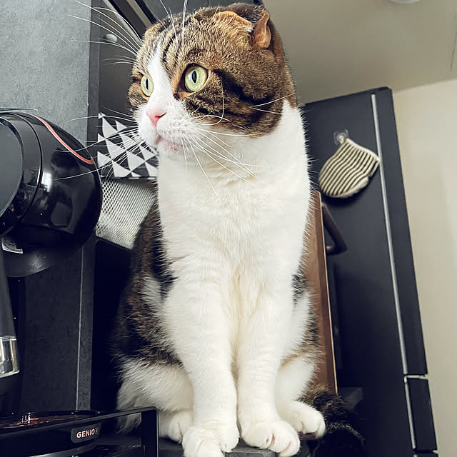 tansukeさんの部屋
