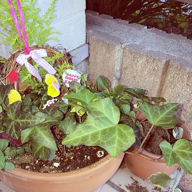 mya___kさんの実例写真