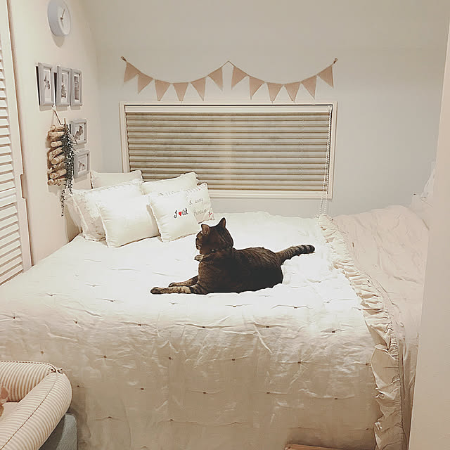 lovecatさんの実例写真