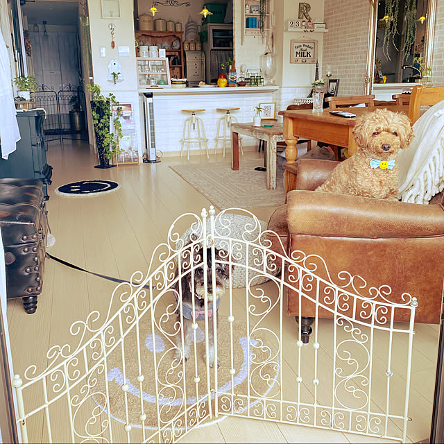 rieさんの実例写真