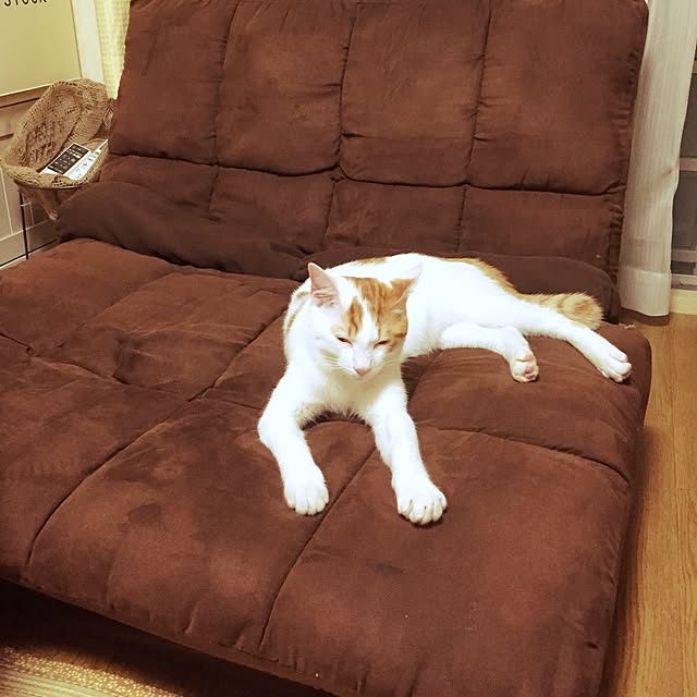 emiさんの実例写真