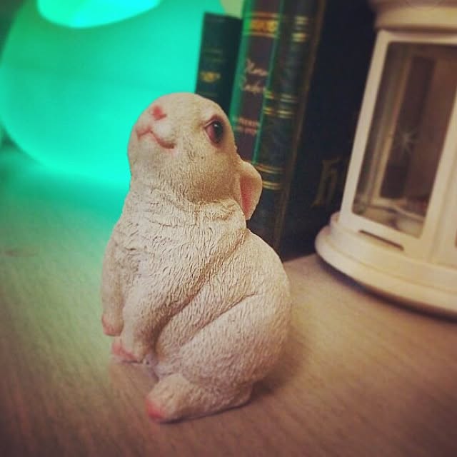 harukaさんの実例写真