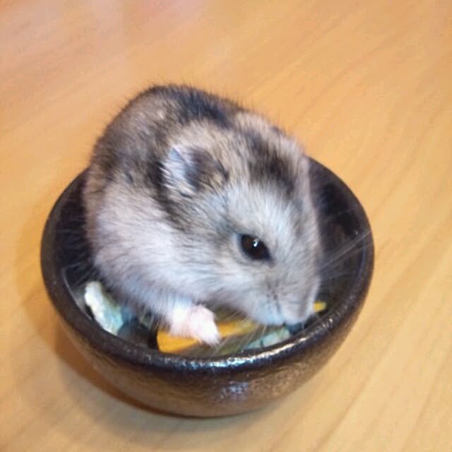 asa0521さんの実例写真