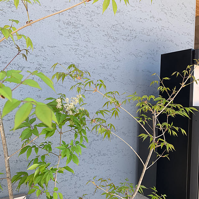 h_home.hさんの実例写真