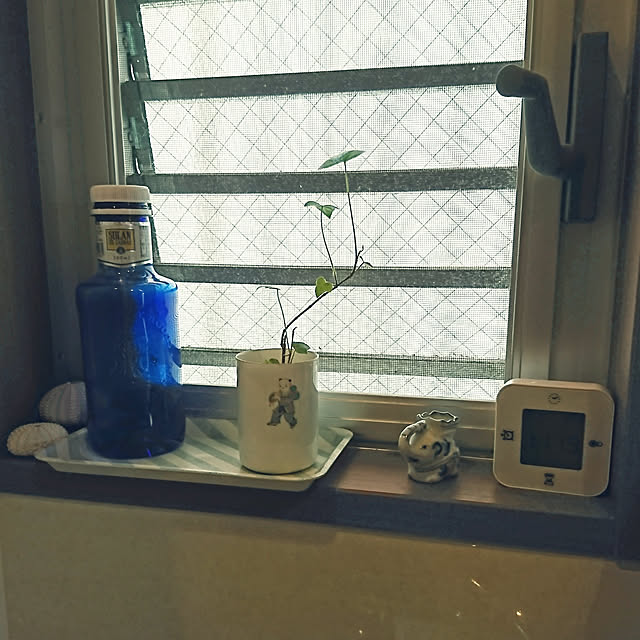 noripopさんの実例写真