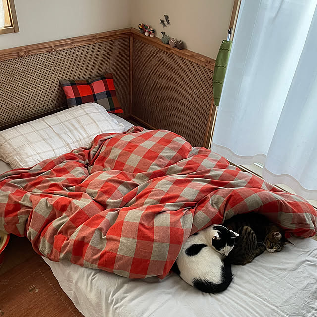 nobikoさんの部屋