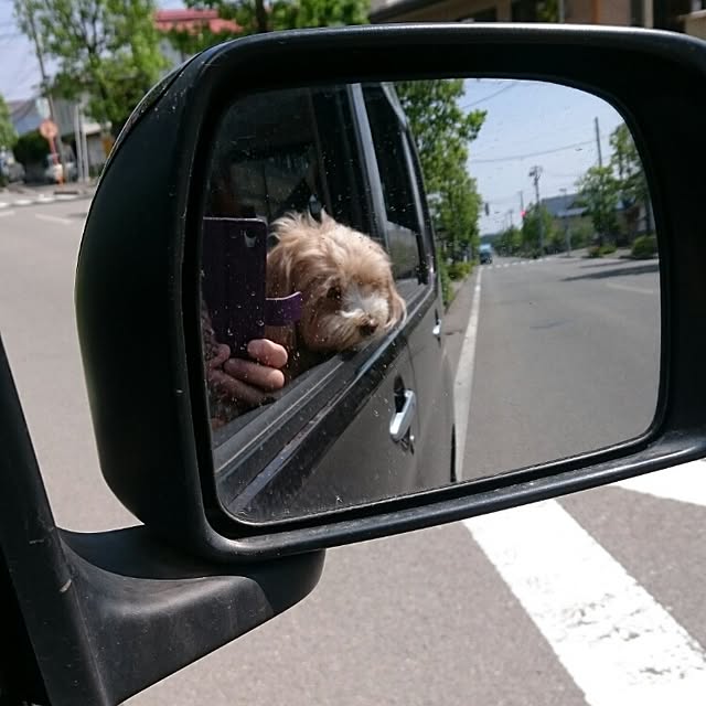 実例写真