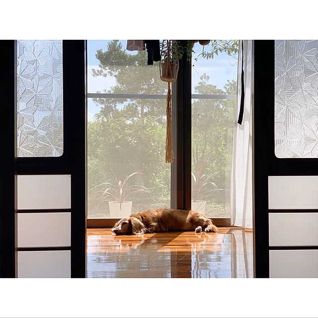 mimimina123321さんの実例写真