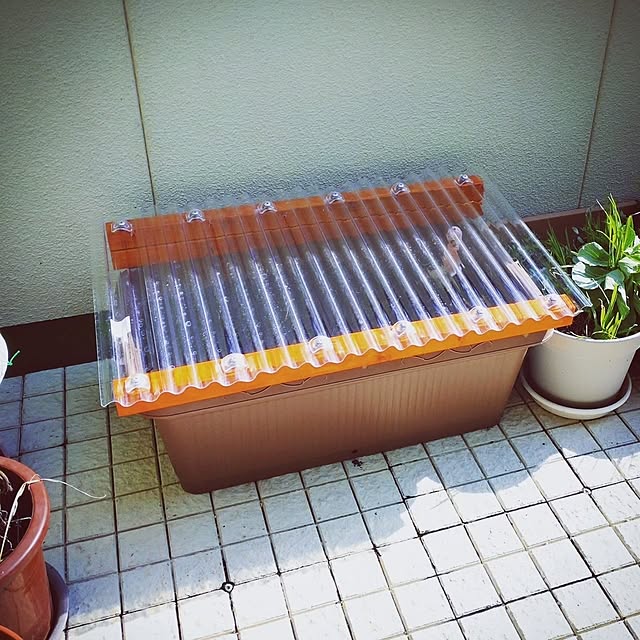 mntcさんの実例写真