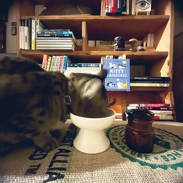 Mさんの部屋