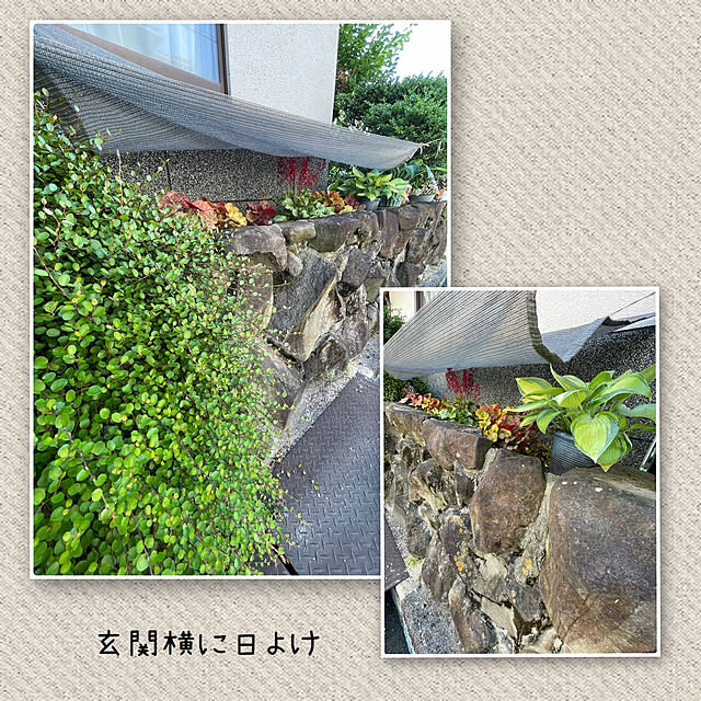 buchiさんの部屋