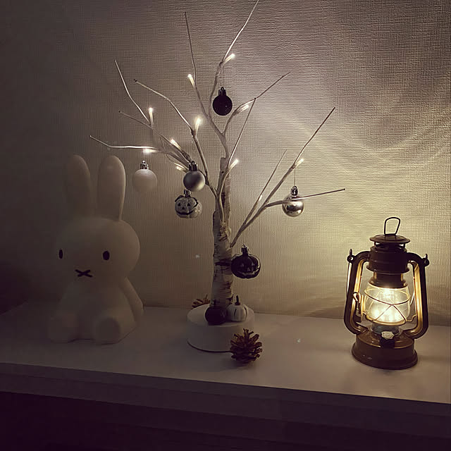 panda_naさんの実例写真