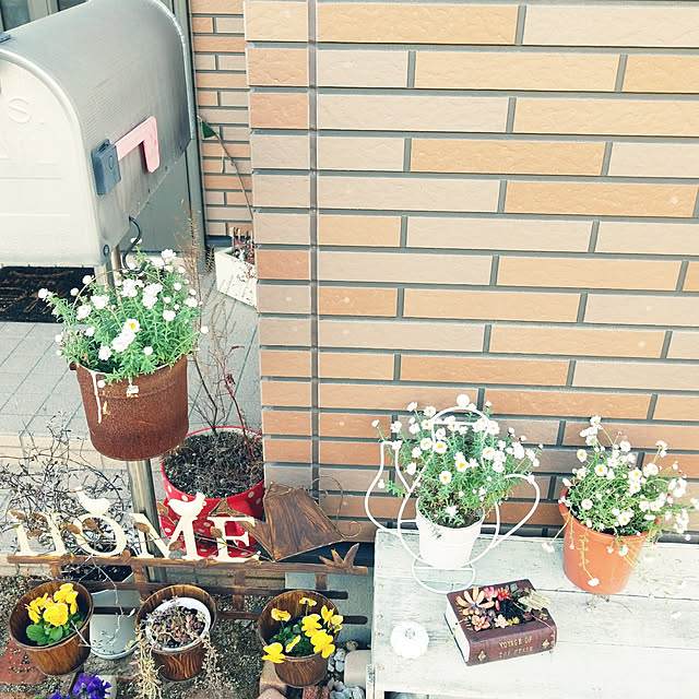 miiさんの実例写真