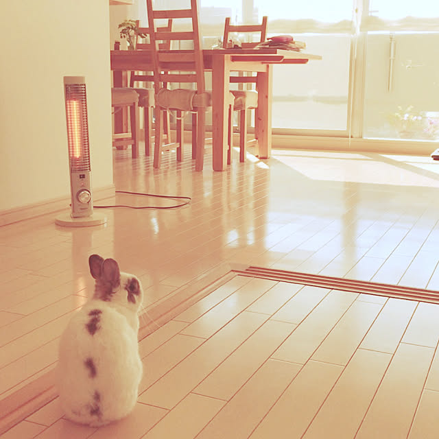 luluさんの実例写真