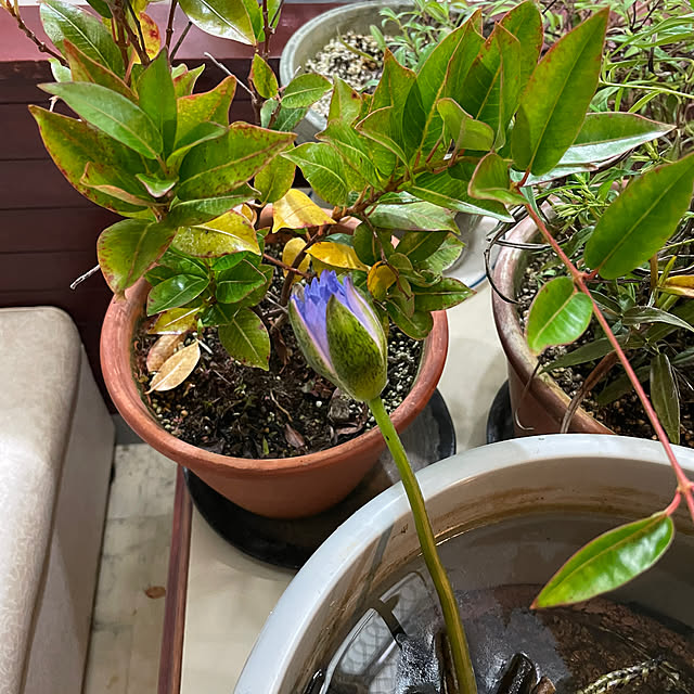 shin0719さんの部屋