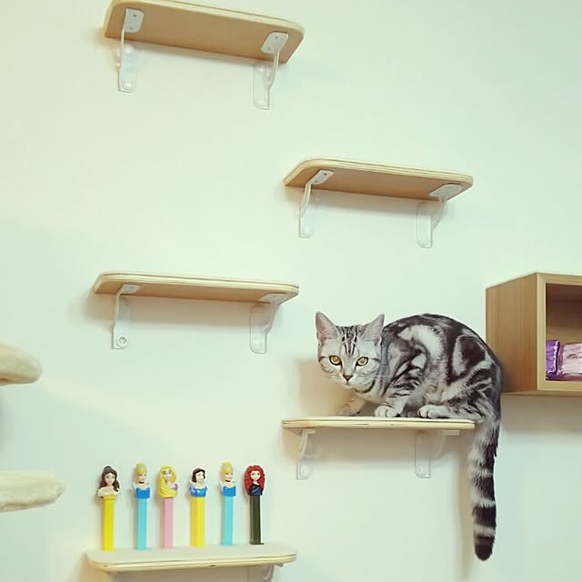 otomalala-0315さんの実例写真