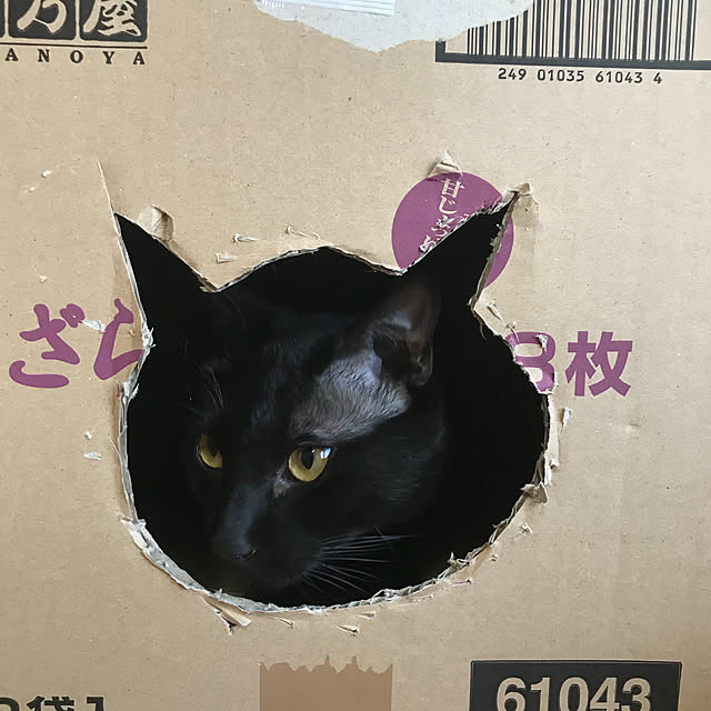 take.bon326さんの実例写真