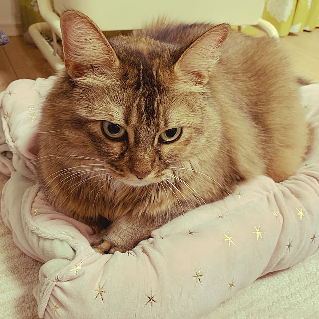 tokoさんの実例写真