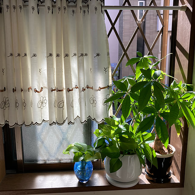 runさんの実例写真