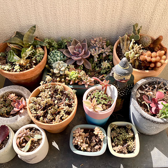 marukoさんの部屋