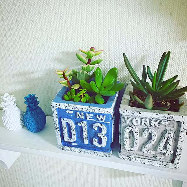 kanamiさんの実例写真