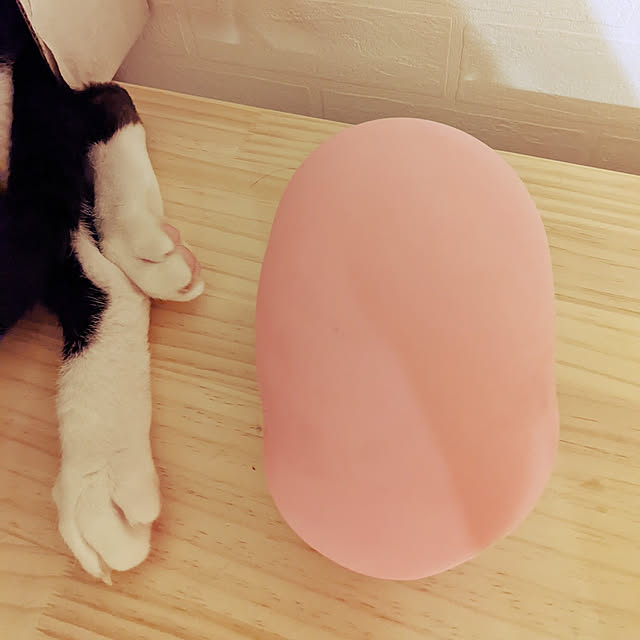Helloさんの実例写真