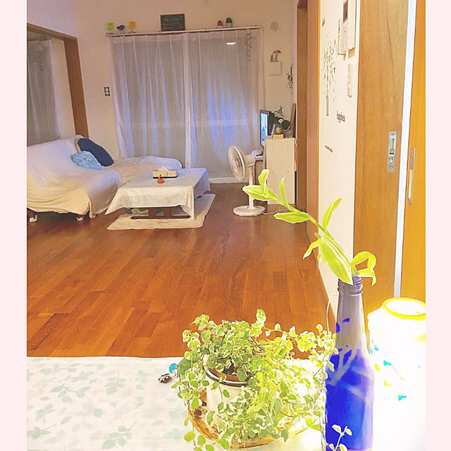 hatsu.0202さんの実例写真