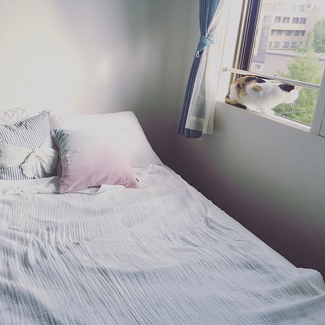 viva._.tkdさんの実例写真