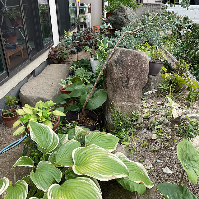 buchiさんの部屋