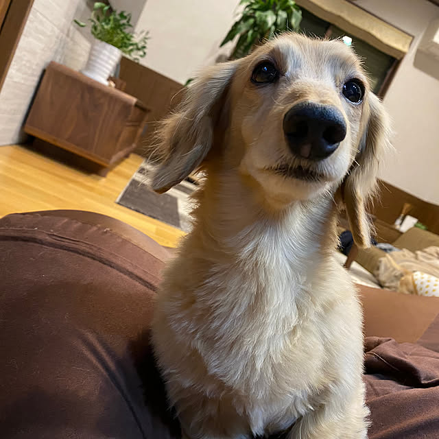 ponponcooさんの部屋
