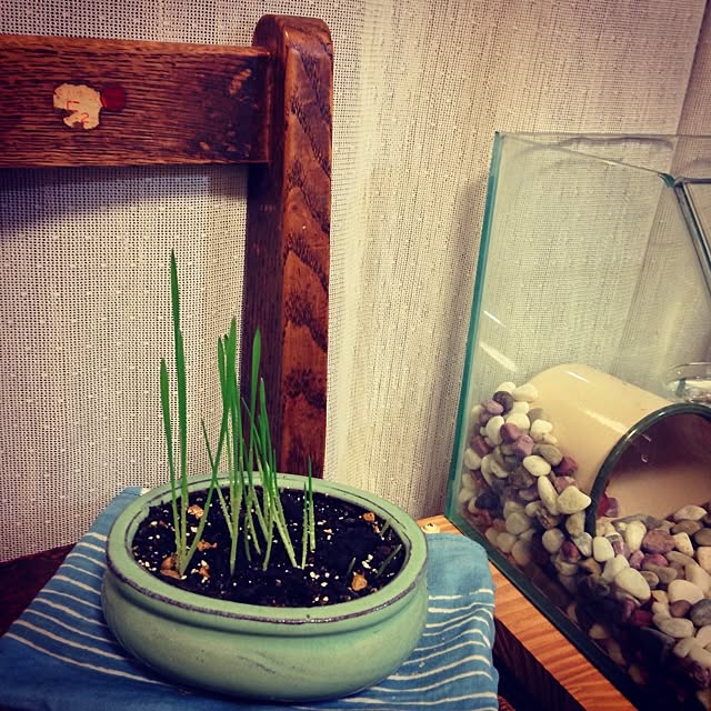 yazawakozueさんの実例写真