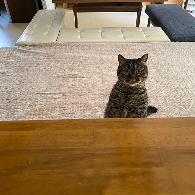 nocomomさんの部屋