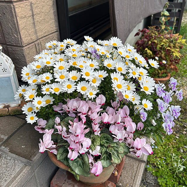 ritsukoさんの部屋
